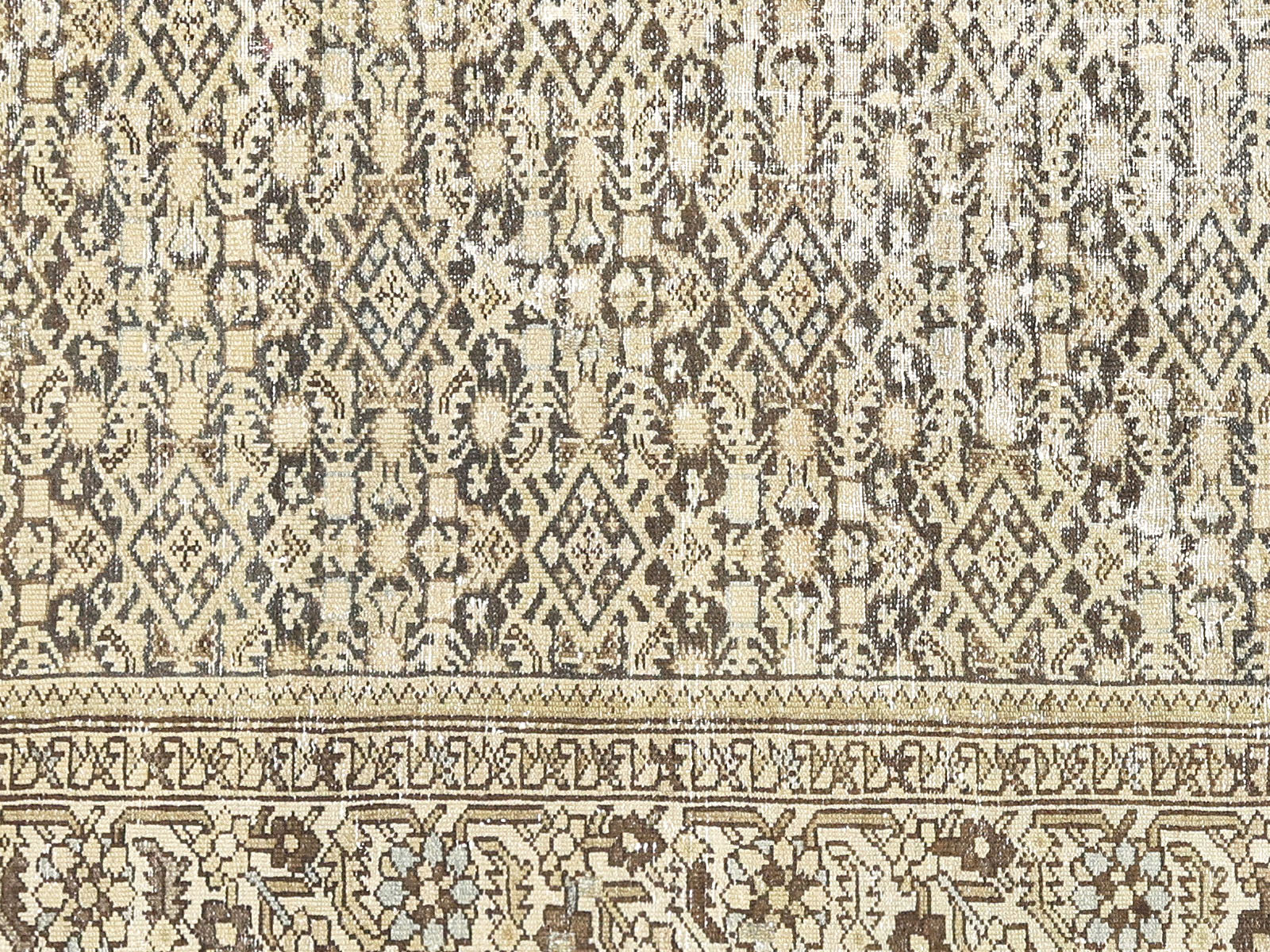 Semi Antique Persian Melayer Rug - 5'9" x 10'4"