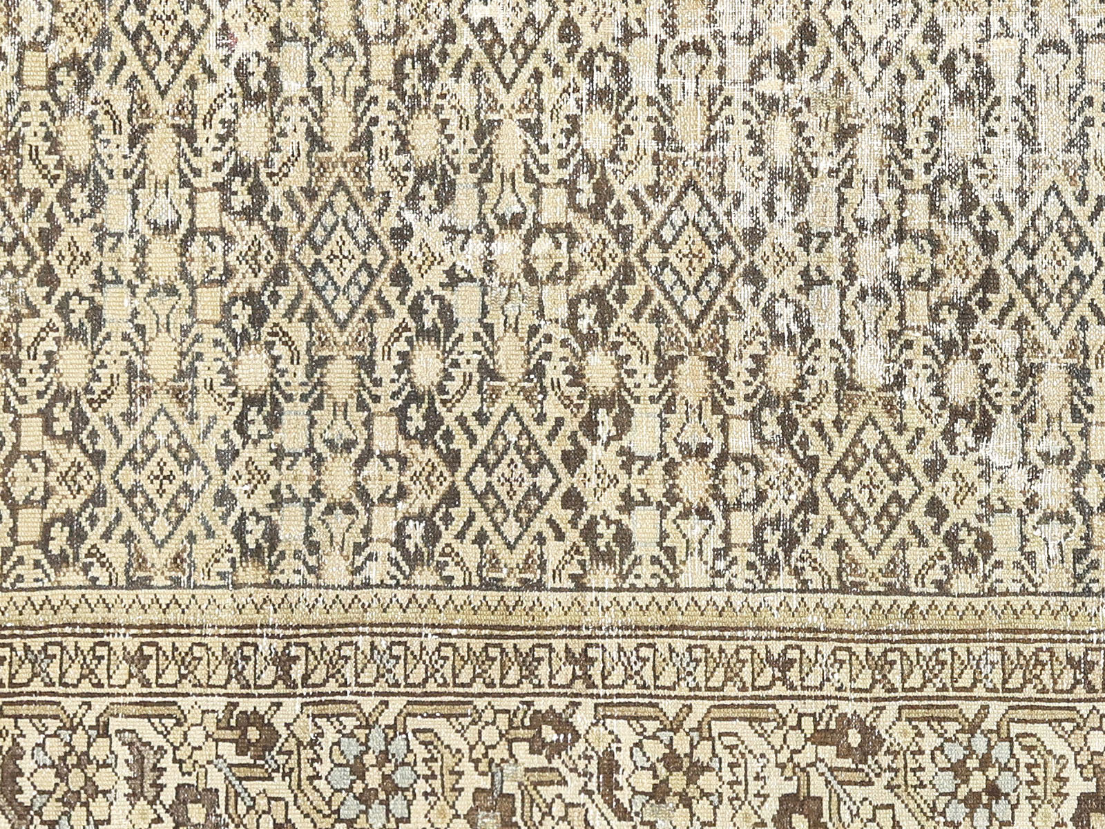 Semi Antique Persian Melayer Rug - 5'9" x 10'4"