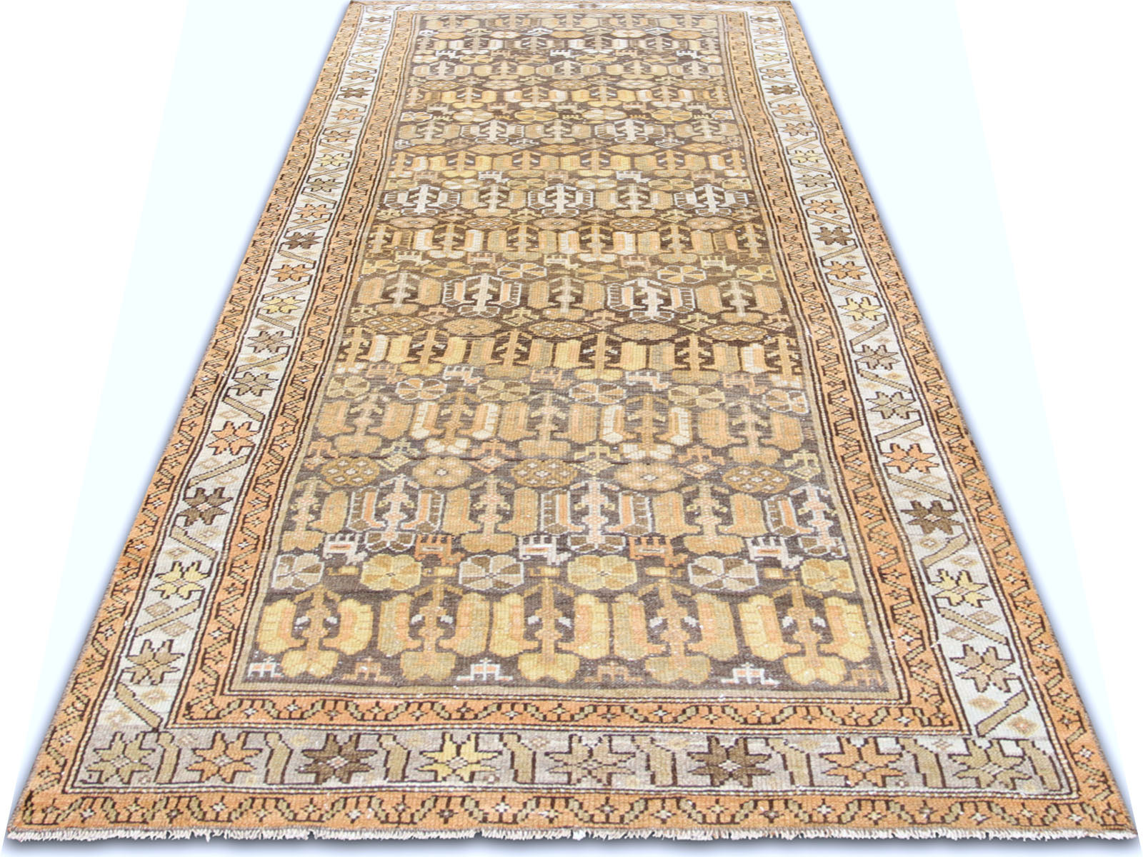 Semi Antique Persian Melayer Rug - 3'8" x 9'0"