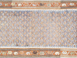 Antique Persian Melayer Rug - 2'6" x 13'10" - 240265